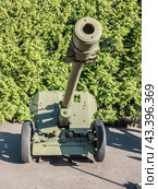 76-мм дивизионная пушка БЛ-14. СССР. Экспозиция боевой техники в музее Парка Победы в Москве. Техника времен Второй мировой войны (2024 год). Редакционное фото, фотограф Константин Григорьев / Фотобанк Лори