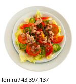 Traditional Tunisian salad with vegetables, olives, tomatoes and tuna closeup. Стоковое фото, фотограф Яков Филимонов / Фотобанк Лори