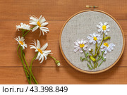 Summer floral hand embroidery with satin ribbons of daisies flowers in hoops on wooden background. Crafts and embroidery as a hobby and leisure. Flat lay, top view, close-up, mock up. Стоковое фото, фотограф Виктория Катьянова / Фотобанк Лори
