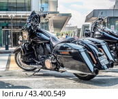 Harley davidson flhxse motorbike in black color. American motorcycle bagger cruiser parked on city street (2024 год). Редакционное фото, фотограф Константин Григорьев / Фотобанк Лори