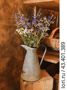 Bouquet of dried flowers in a vintage vase. Стоковое фото, фотограф Irina Kuchugurina/Gaudy / Фотобанк Лори