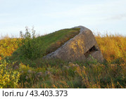 ДОТ №128 РРО «С» Минского укрепрайона (МиУР), Белоруссия (2018 год). Редакционное фото, фотограф Алексей Иванов / Фотобанк Лори