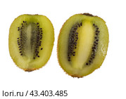 Разрезанный фрукт киви на белом фоне. Kiwi fruit sliced segments isolated on white background cutout. Стоковое фото, фотограф Татьяна Д / Фотобанк Лори