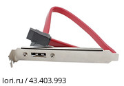 Кабель для подсоединения жесткого диска к компьютеру. Hard disk drive power cables. Стоковое фото, фотограф Татьяна Д / Фотобанк Лори