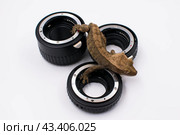 Ящерица реснитчатый бананоед Correlophus ciliatus лазает по набору макроколец. Стоковое фото, фотограф Алиса Сокол / Фотобанк Лори