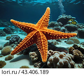 Яркий тропический мир кораллового рифа. Звезда.The vibrant tropical world of the coral reef. Стоковое AI-изображение, AI-художник Гер Олег / Фотобанк Лори