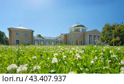 Estate of Counts Chernyshevs, Alexandrino Park. Summer panorama. Russia, Saint-Petersburg. Стоковое фото, фотограф Елена  Попкова / Фотобанк Лори