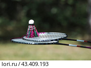 A racket and a shuttlecock on a background of green grass. Playing badminton. A summer sport. Outdoor games. Стоковое фото, фотограф Photojuli / Фотобанк Лори