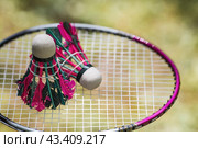A racket and a shuttlecock on a background of green grass. Playing badminton. A summer sport. Outdoor games. Стоковое фото, фотограф Photojuli / Фотобанк Лори