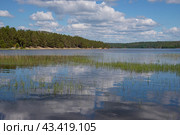 Берег Ладожского озера на острове Койонсаари, Карелия. Стоковое фото, фотограф Анна Карасева / Фотобанк Лори