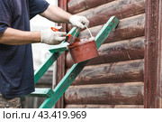 A man works with a brush and applies red paint to a wooden village house. A worker paints wooden planks in close-up. Half of the painted surface. Smearing with a brush. Стоковое фото, фотограф Photojuli / Фотобанк Лори