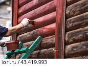 A man works with a brush and applies red paint to a wooden village house. A worker paints wooden planks in close-up. Half of the painted surface. Smearing with a brush. Стоковое фото, фотограф Photojuli / Фотобанк Лори