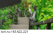 Russia, Ivanovo region, the city of Ples, May 20 2024, Levitan's Path with a Wooden Staircase in the Town of Ples: Climbing Levitan Mountain. Редакционное фото, фотограф Скрипачев Антон / Фотобанк Лори