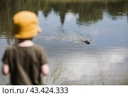 A 5-year-old boy in a yellow panama hat launches a radio-controlled boat in a pond. Children's fun and street games. Child's leisure time. Стоковое фото, фотограф Photojuli / Фотобанк Лори