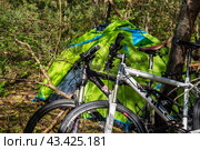 Bicycle trip with tents. Camping in a pine forest. Tourist tent and bicycle in the forest. (2022 год). Редакционное фото, фотограф Zima Nadezhda / Фотобанк Лори