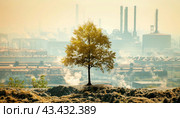 A tall tree is rooted on a lush green hill, with a factory in the distant background. Стоковое AI-изображение, AI-художник Юрий Поздников / Фотобанк Лори