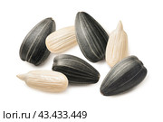 Sun flower seeds laid in circle isolated on white background. Top view. Стоковое фото, фотограф Катерина Ковалева / Фотобанк Лори