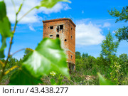 Старая башня из красного кирпича (2024 год). Стоковое фото, фотограф Роман Лукьянов / Фотобанк Лори