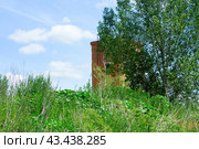 Старая башня из красного кирпича (2024 год). Стоковое фото, фотограф Роман Лукьянов / Фотобанк Лори