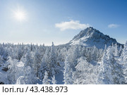 Откликной гребень. Стоковое фото, фотограф Артур Ибрагимов / Фотобанк Лори