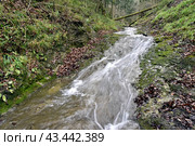 Река Мезмайка, Мезмай, Краснодарский край. Стоковое фото, фотограф Оглоблин Андрей Николаевич / Фотобанк Лори