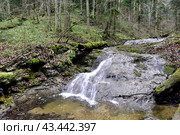 Водопад на реке Мезмайка, Мезмай, Краснодарский край. Стоковое фото, фотограф Оглоблин Андрей Николаевич / Фотобанк Лори