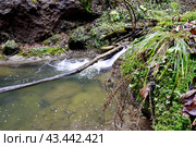 Водопад на реке Мезмайка, Мезмай, Краснодарский край. Стоковое фото, фотограф Оглоблин Андрей Николаевич / Фотобанк Лори
