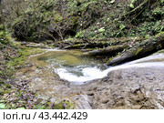 Водопад на реке Мезмайка, Мезмай, Краснодарский край. Стоковое фото, фотограф Оглоблин Андрей Николаевич / Фотобанк Лори