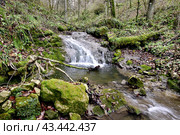 Водопад на реке Мезмайка, Мезмай, Краснодарский край. Стоковое фото, фотограф Оглоблин Андрей Николаевич / Фотобанк Лори