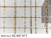 pattern old metal lattice fence. Стоковое фото, фотограф Артем Курутин / Фотобанк Лори