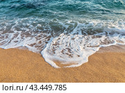 Морская волна, пенясь, набегает на песчаный берег. Крупный план.  Sea wave runs on the wet sand of the beach. Стоковое фото, фотограф Лариса Гордеева / Фотобанк Лори