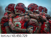 Muddy Football Players Huddle After A Hard-Fought Game. Стоковое AI-изображение, AI-художник Сергей Толмачёв / Фотобанк Лори