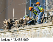 Уборка пней от кустарников, подпорная стена по улице К. Маркса, город Кисловодск (2023 год). Редакционное фото, фотограф Вячеслав Палес / Фотобанк Лори