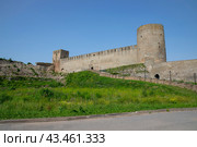 У входа в крепость, Ивангород, Ленинградская область (2024 год). Стоковое фото, фотограф Анна Карасева / Фотобанк Лори