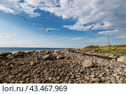 Камни на берегу острова Заяцкий в Белом море и памятный крест вдалеке. Архангельская область, Россия. Стоковое фото, фотограф Наталья Волкова / Фотобанк Лори