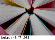 Вид сверху на книги с разноцветными обложками. Стоковое фото, фотограф Светлана Евтушенко / Фотобанк Лори