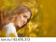 Красивая молодая женщина со светло-каштановыми волосами в белом свитере на фоне листвы в осеннем парке. Портрет привлекательной счастливой девушки среди красочных желтых листьев. Осенний сезон. Осень, октябрь. Стоковое фото, фотограф Андрей Степанов / Фотобанк Лори