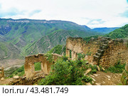 Развалины аула Гамсутль, Дагестан (2021 год). Стоковое фото, фотограф Римма Тельнова / Фотобанк Лори
