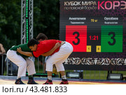 Спортсмены борются за кубок мира по поясной борьбе "Корэш" во время проведения общегородского праздника "Сабантуй" на территории музея-заповедника "Коломенское" в городе Москве, Россия (2024 год). Редакционное фото, фотограф Николай Винокуров / Фотобанк Лори