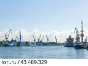 View to Neva River and Admiralty shipyards in Saint Petersburg (2024 год). Редакционное фото, фотограф Евгений Харитонов / Фотобанк Лори