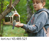 A girl feeds a tit bird from her hands. Стоковое фото, фотограф YuryKara / Фотобанк Лори