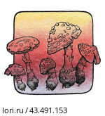 Акварельные мухоморы. Watercolor fly agaric mushrooms isolated on white background. Hand drawn illustration with amanita muscaria. Стоковая иллюстрация, иллюстратор Карнаухова Елена / Фотобанк Лори