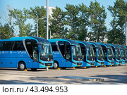 Парковка автобусов Мосгортранс с надписью "Заказной" (2024 год). Стоковое фото, фотограф Rashpil / Фотобанк Лори