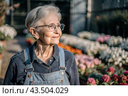 An elderly woman gardener with gray hair in overalls in a cozy flower greenhouse. The gardener takes care of the flowers. Стоковое AI-изображение, AI-художник Photojuli / Фотобанк Лори