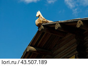 Охлупень. Деревянный конёк на деревянном доме. Карпогоры Архангельская область. (2022 год). Стоковое фото, фотограф Николай Гернет / Фотобанк Лори