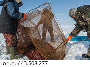 Подледный лов рыбы в Обской губе на Ямале (2018 год). Редакционное фото, фотограф Николай Гернет / Фотобанк Лори
