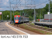 Электропоезд «Иволга» ЭГ2Тв 002 подъезжает к платформе остановочного пункта Ромашково в Московской области, чтобы ехать в сторону Рабочего Посёлка (2024 год). Редакционное фото, фотограф Румянцева Наталия / Фотобанк Лори