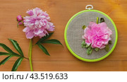 Video of floral hand embroidery with satin ribbons of pink peony flower in hoops on wooden background. Crafts and embroidery as hobby and leisure. Flat lay, top view, close-up. Стоковое видео, видеограф Виктория Катьянова / Фотобанк Лори