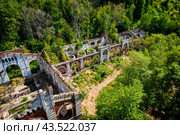 Руины здания в густых зарослях (Куйбышевская водокачка, Нижний Новгород) (2021 год). Стоковое фото, фотограф Илья Старков / Фотобанк Лори