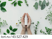 Women's hands are holding an unnamed white tube of cosmetics in their palms. White background with tropical leaves. Стоковое AI-изображение, AI-художник Ярославский Максим / Фотобанк Лори